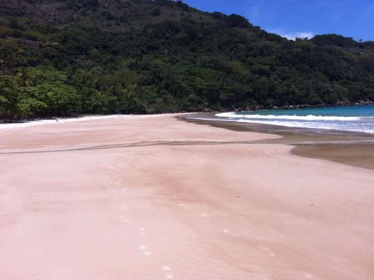 The empty sand of Lopes Mendes beach with Atlantic forest behind, Ilha Grande