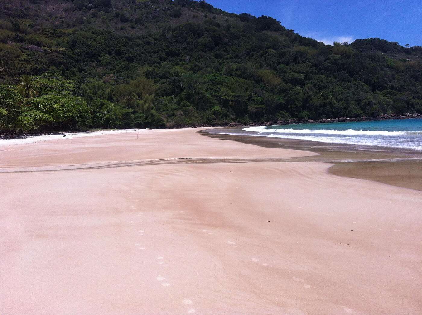 The empty sand of Lopes Mendes beach with Atlantic forest behind, Ilha Grande